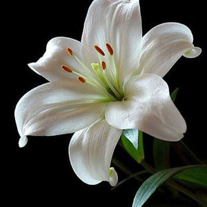 Meet your Posher, Yaretzi